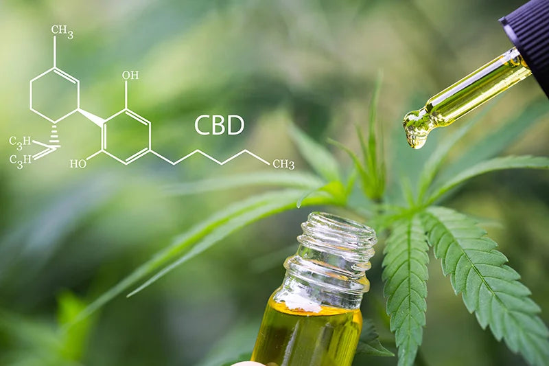 What is CBD, CBN, CBG, THC? A Straightforward Explanation of Cannabinoids