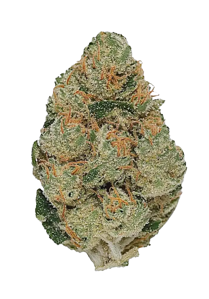 Frosted Guava