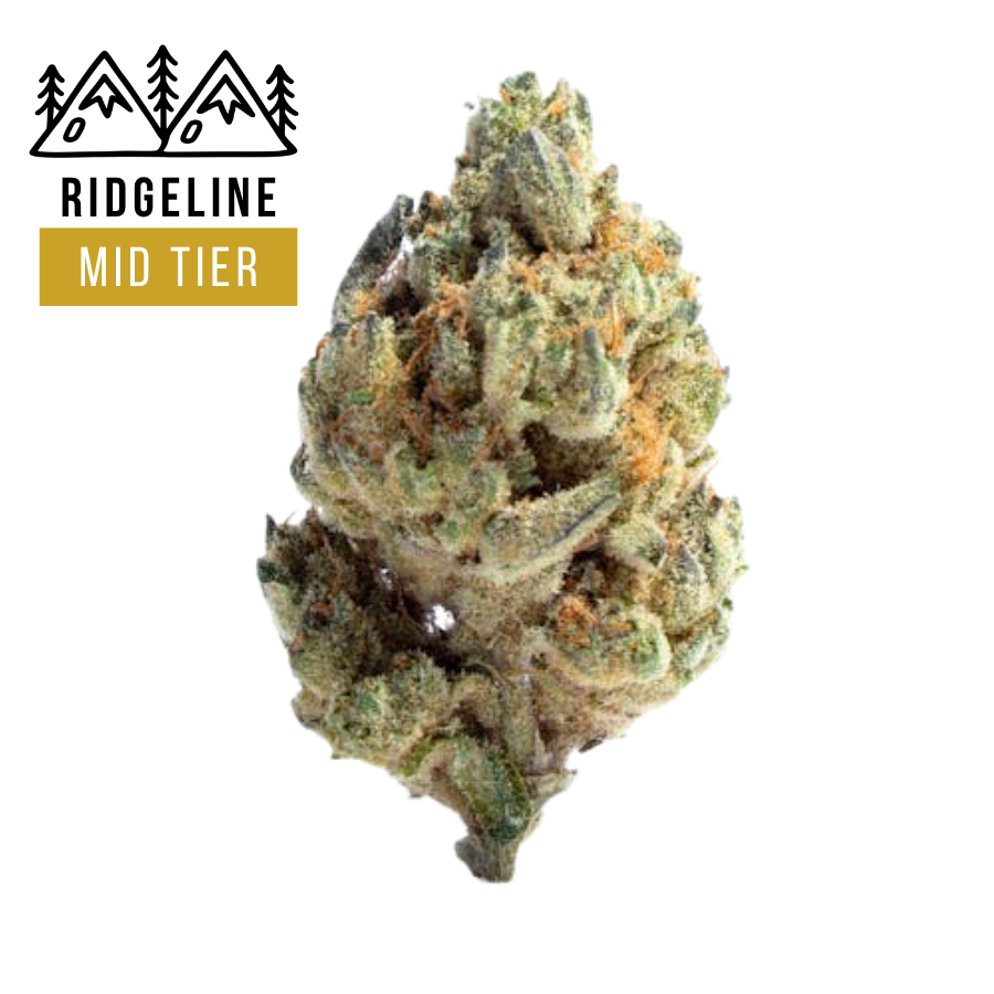 Banjo (THCa: 38.12%)