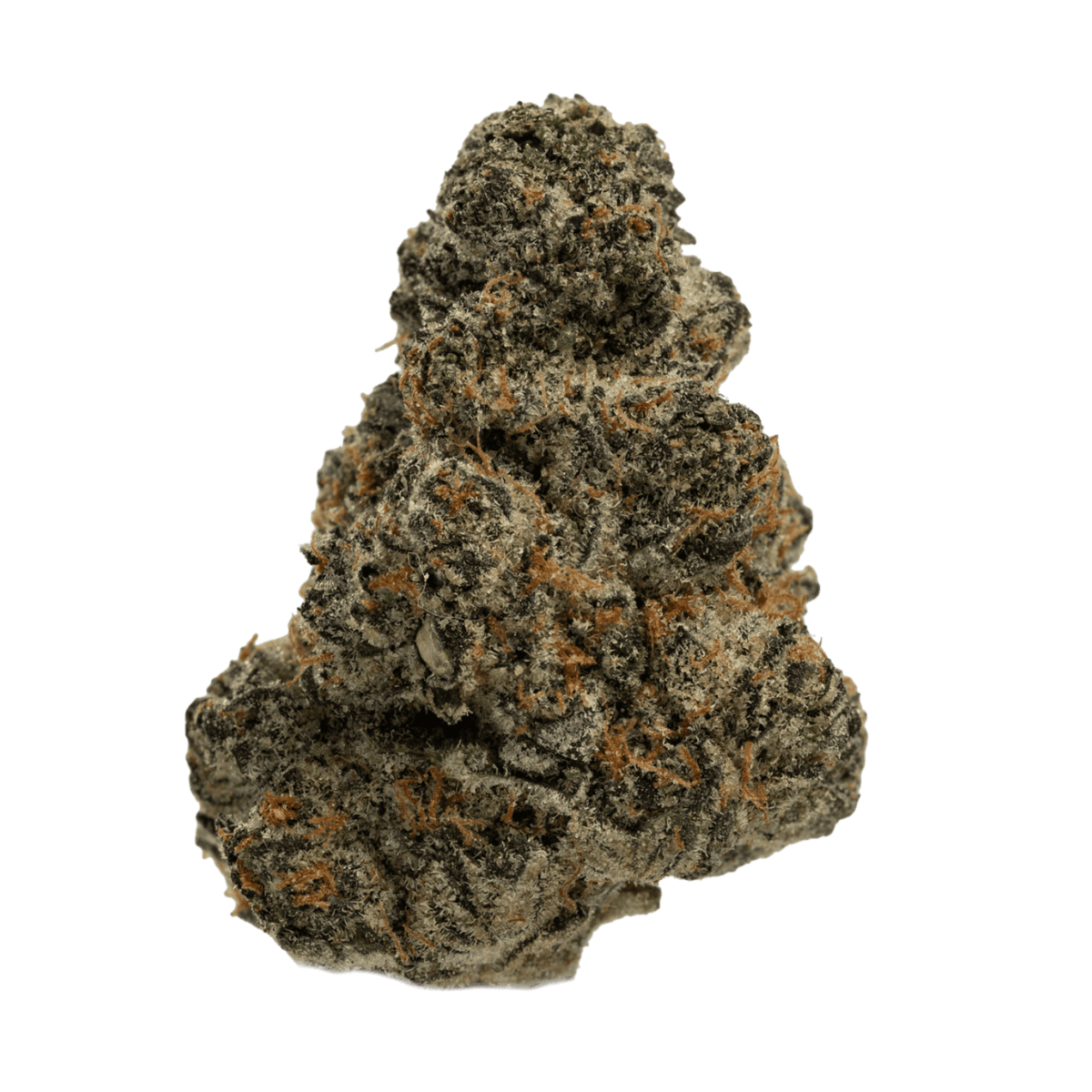 Black Cherry Soda (THCa: 27.2%)