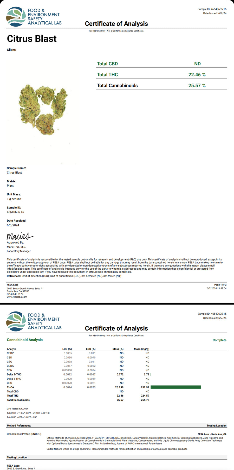 Certificate of Analysis