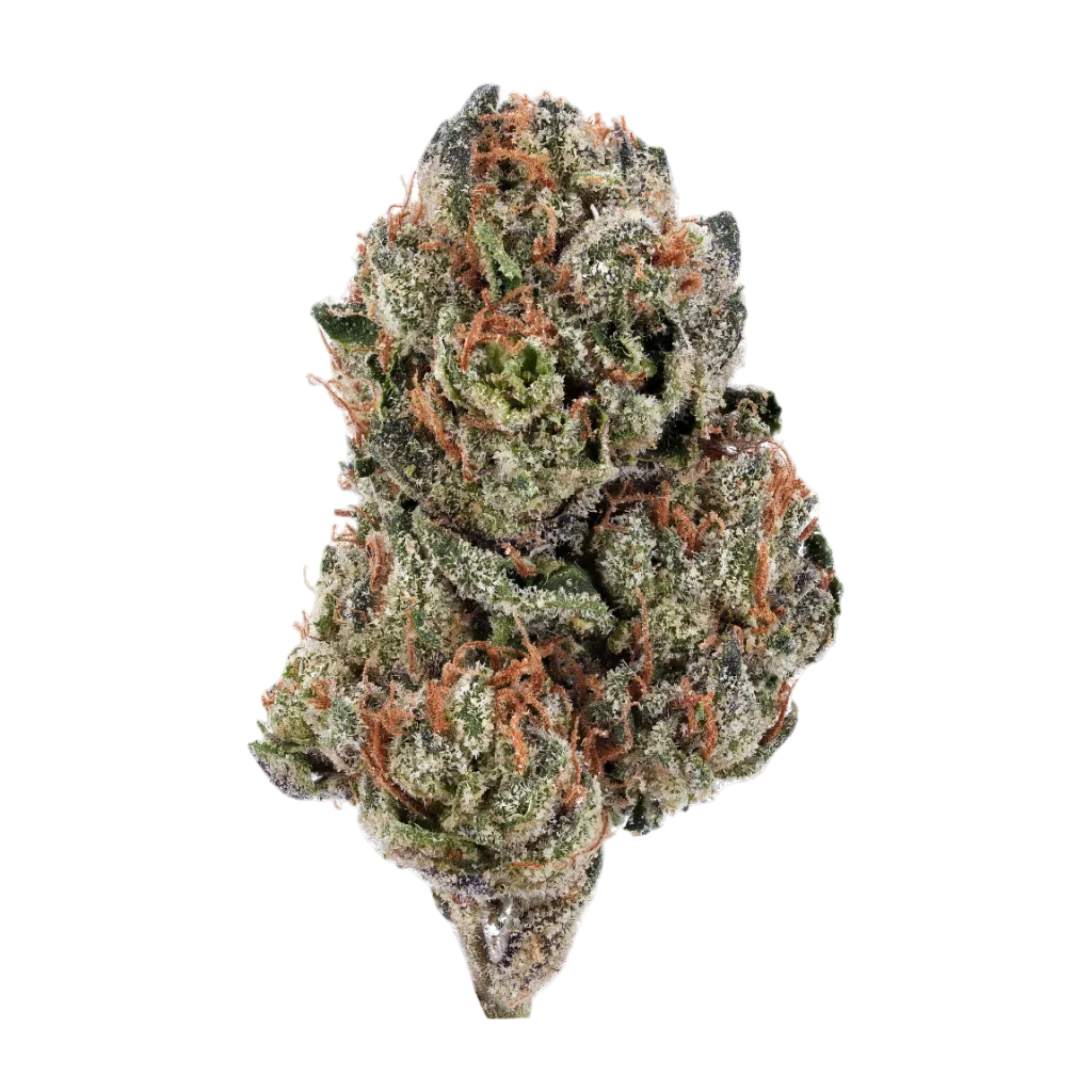 Gelato 41 (THCa: 29.02%)