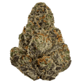 Glitter Bomb (THCa: 24.81%)