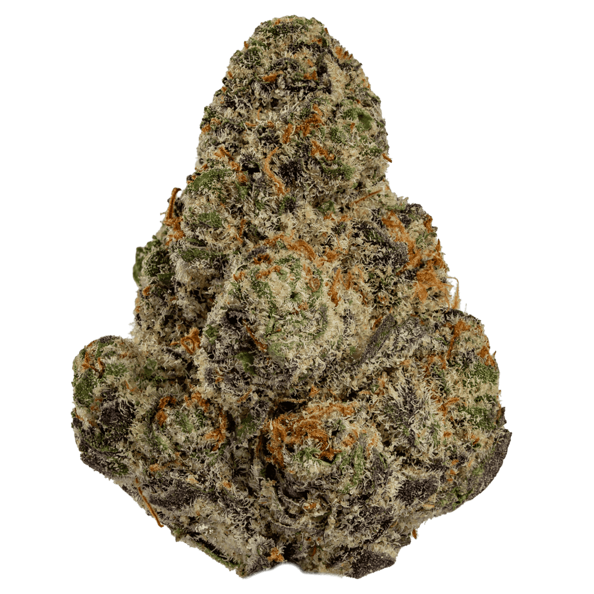 Glitter Bomb (THCa: 24.81%)