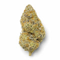 Jelly Roll
