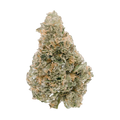 Key Lime Jack (THCa: 23.92%)