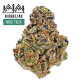 Northern Lights (THCa: 25.27%)