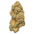 Mule Fuel (THCa: 24.84%)