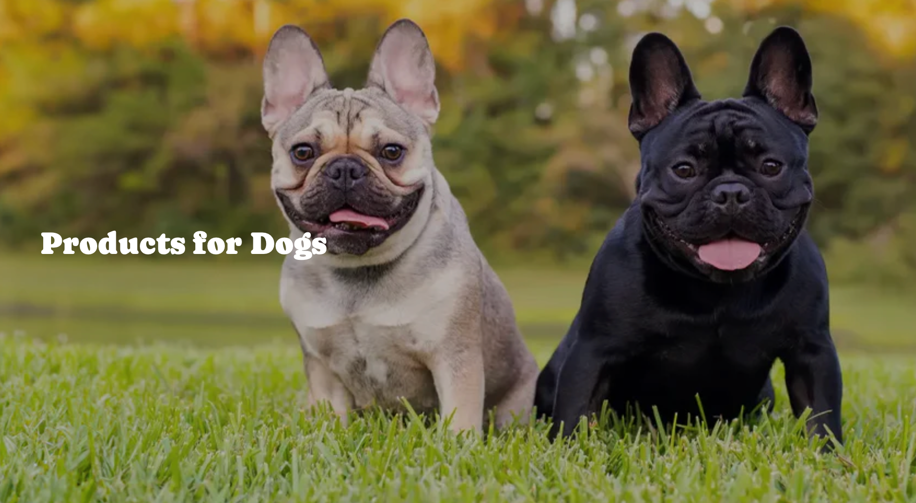 Screenshot 2026-01-13 at 5.34.58 PM.png