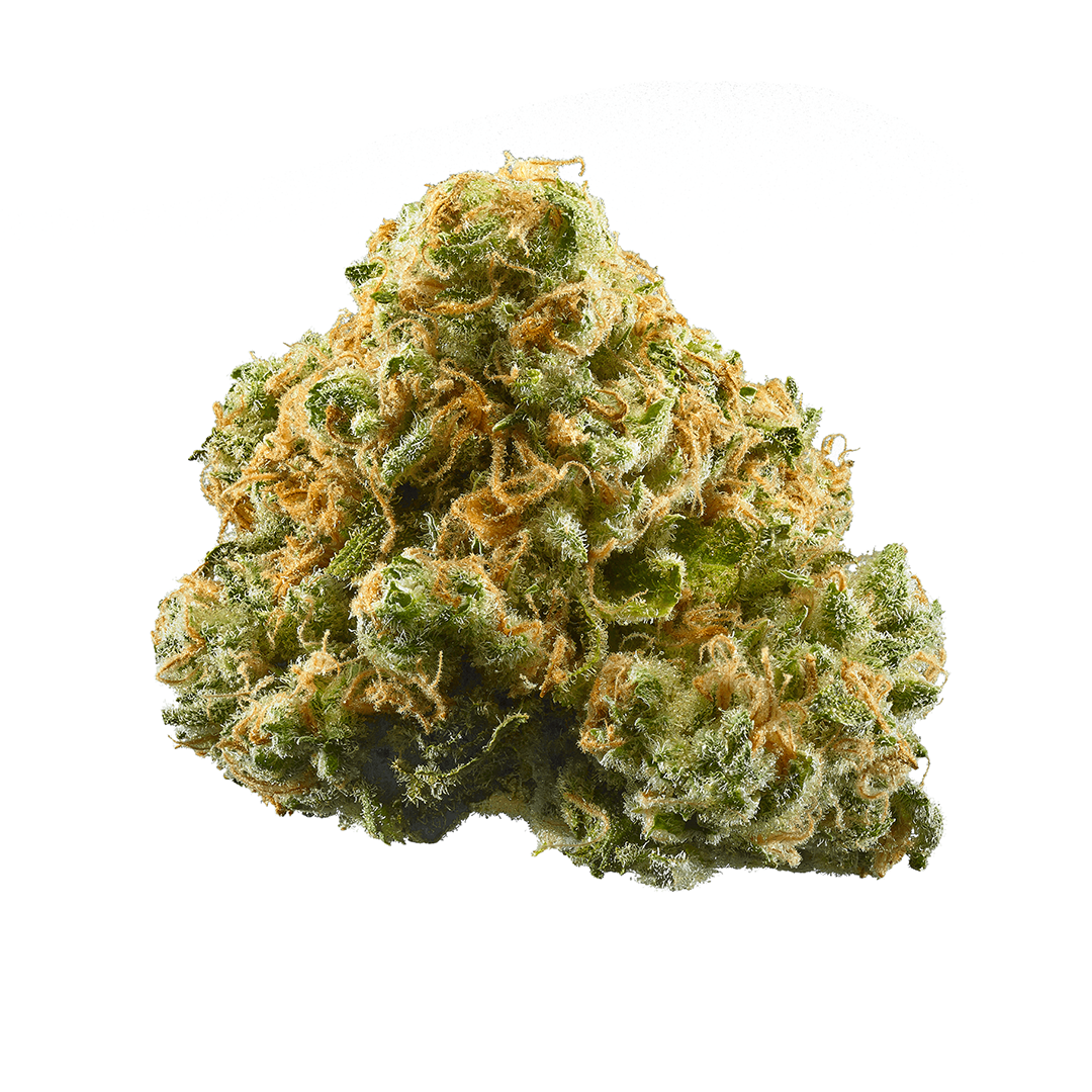 Pineapple OG (THCa: 24.64%)