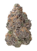 Purple Voodoo (THCa: 28.74%)