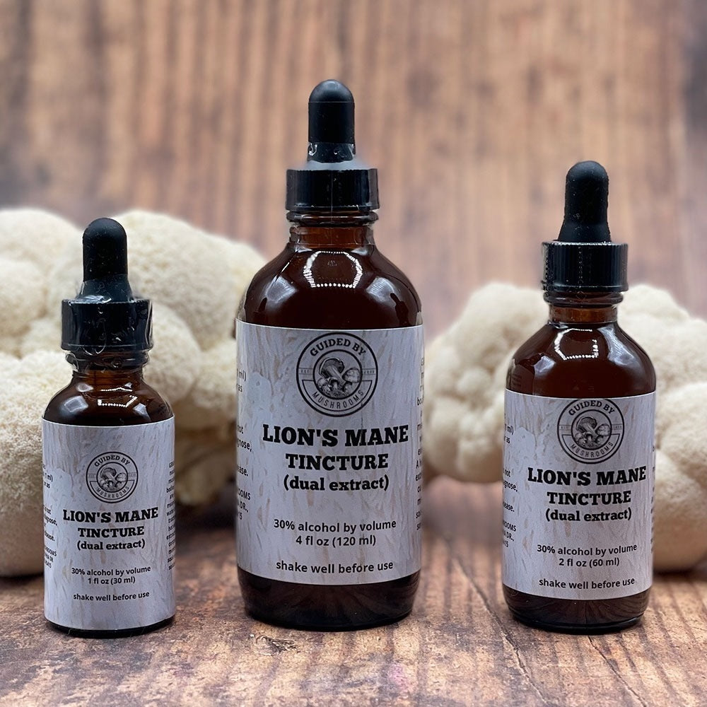 Guided By Mushroom Tinctures